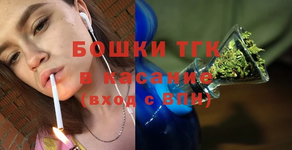 индика Бородино