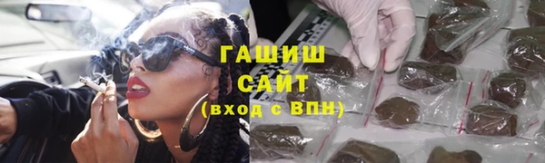 индика Бородино