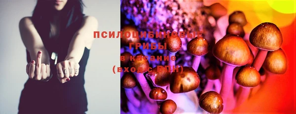 стафф Бронницы