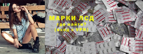 индика Бородино
