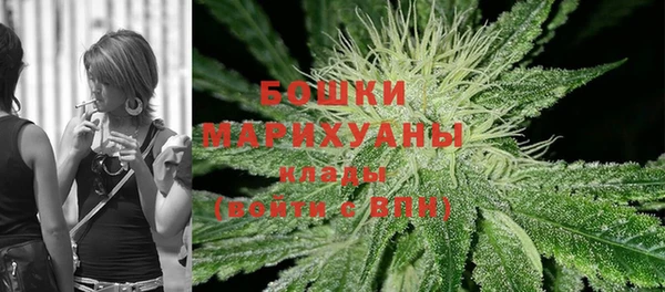 стафф Бронницы