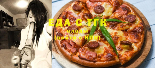 индика Бородино