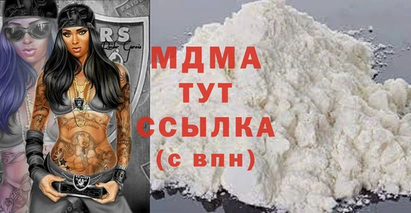 индика Бородино