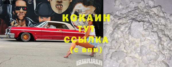 индика Бородино
