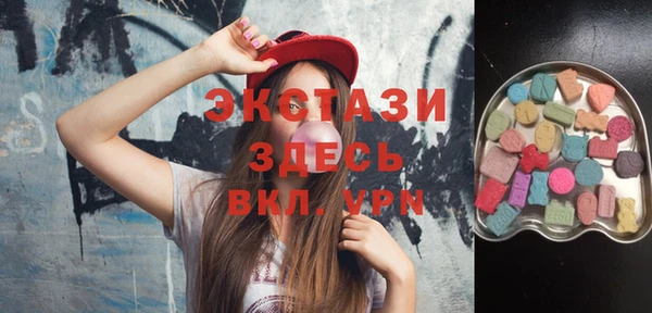 индика Бородино