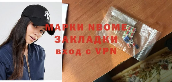 индика Бородино