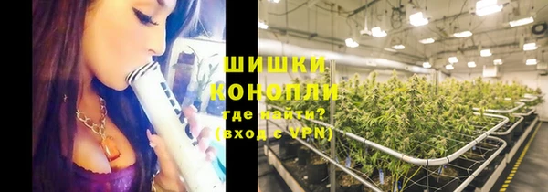 эйфоретик Снежногорск