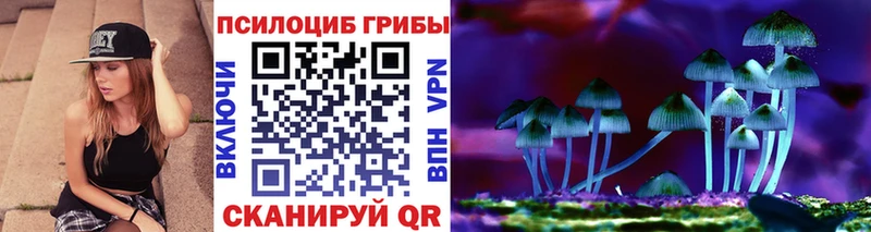где можно купить наркотик  Тосно  Псилоцибиновые грибы Psilocybine cubensis 